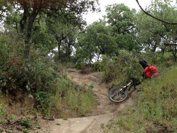 Unas fotos de nuestra ruta por el Pardo - Mayo 2013