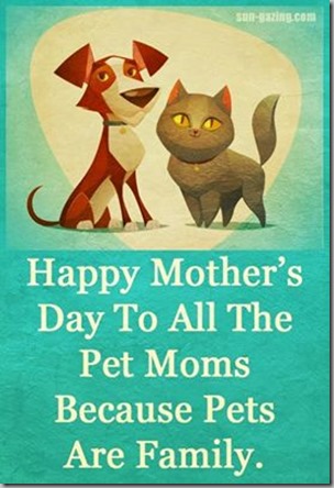 happy mothers day-pet moms