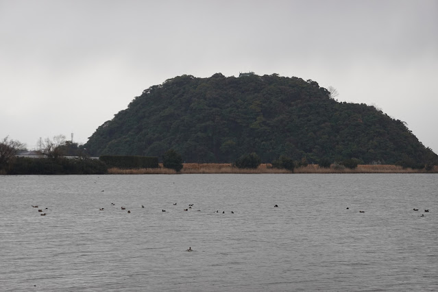 鳥取県米子市彦名新田 米子水鳥公園 水鳥観察広場からの眺望 粟嶋神社