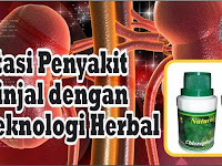 Cara Mengobati Gagal Ginjal Dengan Produk NASA