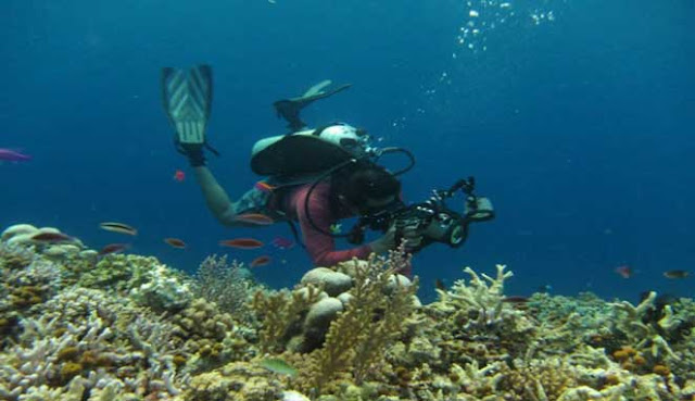 SCUBA DIVING TERBAIK DI INDONESIA