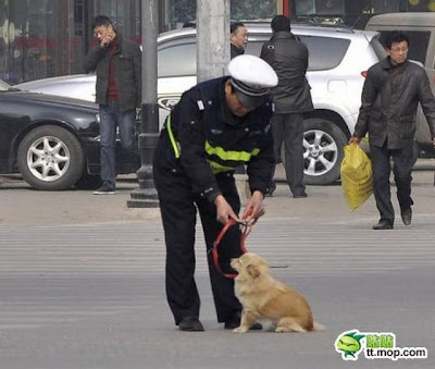 Dog And The Policeman Seen On www.coolpicturegallery.us