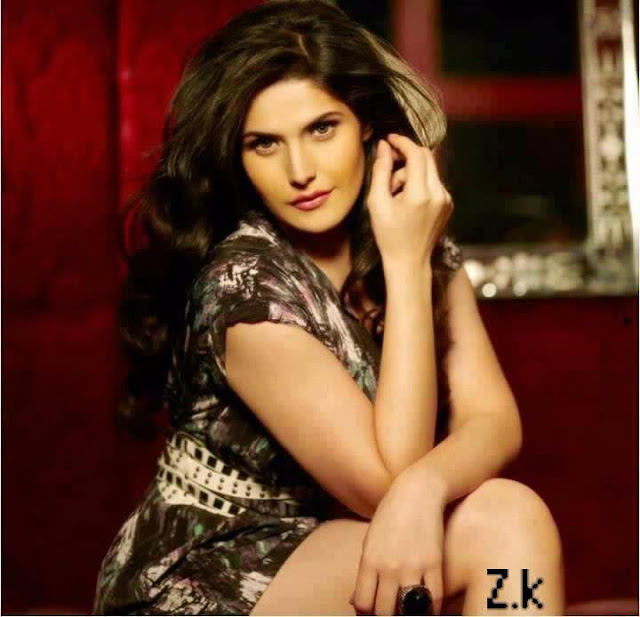 Zarine Khan HD Wallpaper Free Download