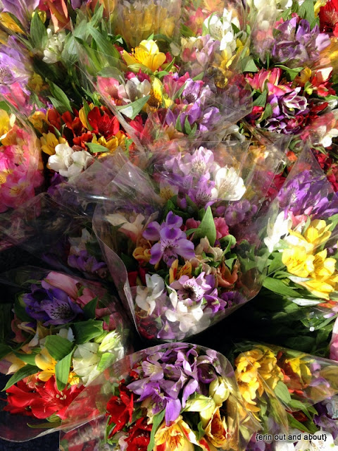 {erinoutandabout} Toronto Flower Market