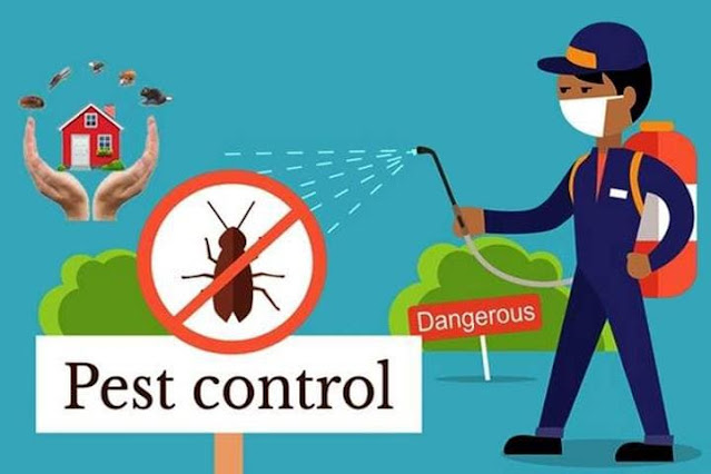 Effective Home Pest Control Tips
