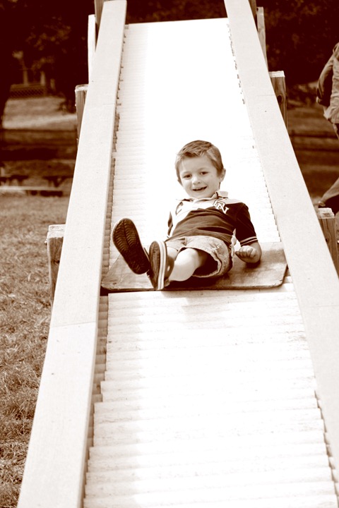 corn maze 2011 065