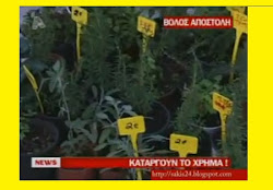Video συνεντέυξη ΒΟΛΟΣ: Καταργούν το Χρήμα