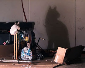 Sculpture of Shadow Illusion