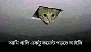funny comment picture