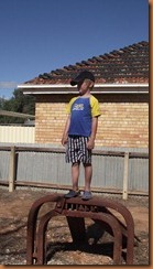 DSCF0594