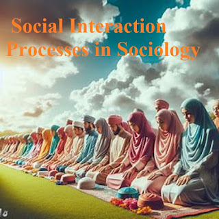 Social Interaction Processes