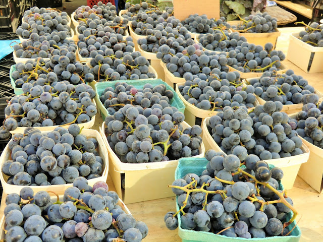 Green market - Union Square - New-York - fruits - grapes