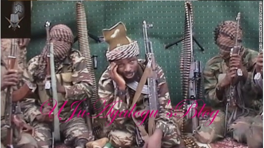 Why We Will Attack Saharareporters, Vanguard, Punch, Daily Sun, The Nation… – Boko Haram Reveals