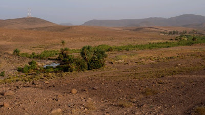  ‘Preserving oases’: The fight for water by Morocco farmers
