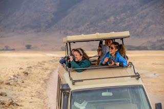 Luxury Tanzania Safari Tours