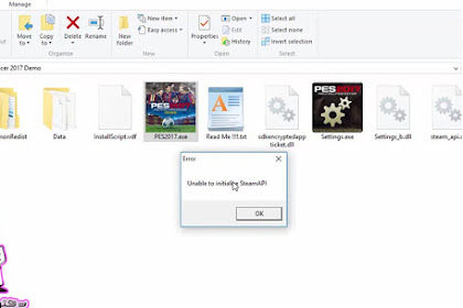 Error Unable To Initialize Steam Api Pes 17