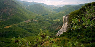 Concluyen trabajos de la COP13 sobre Biodiversidad