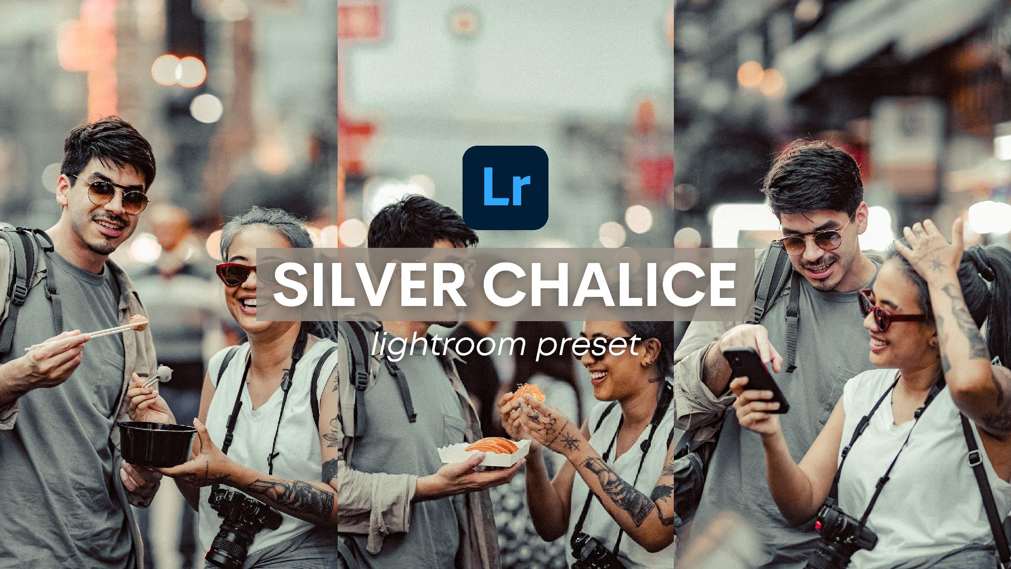 Silver Chalice Free Lightroom Presets | Free Mobile Lightroom Preset and Tutorial | How to Edit in Lightroom Mobile