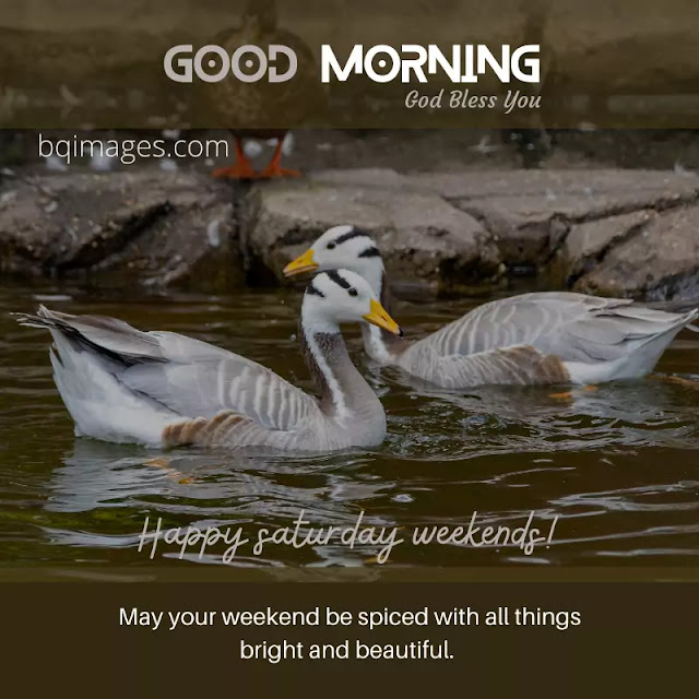 Good Morning Happy Saturday Images
