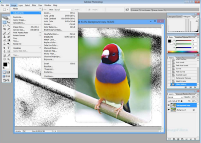 download  Adobe Photoshop CS2 latest version