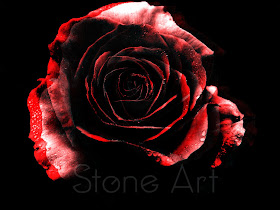 Joshua Harman, Stone Art, Stone @rt, Canvas City, Art Installations, Stone Rose, Rose, Rose Prints, Art Prints, Digital Prints