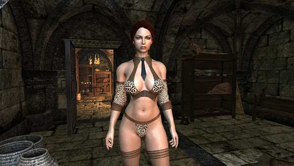 Custom armor mod for The Elder Scrolls V Skyrim