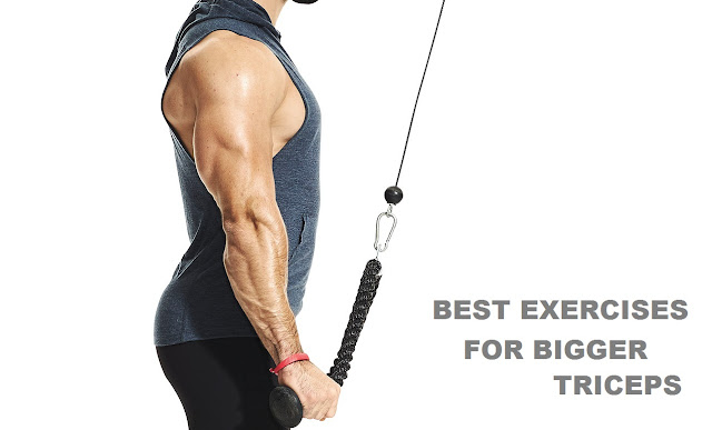 workout for bigger triceps