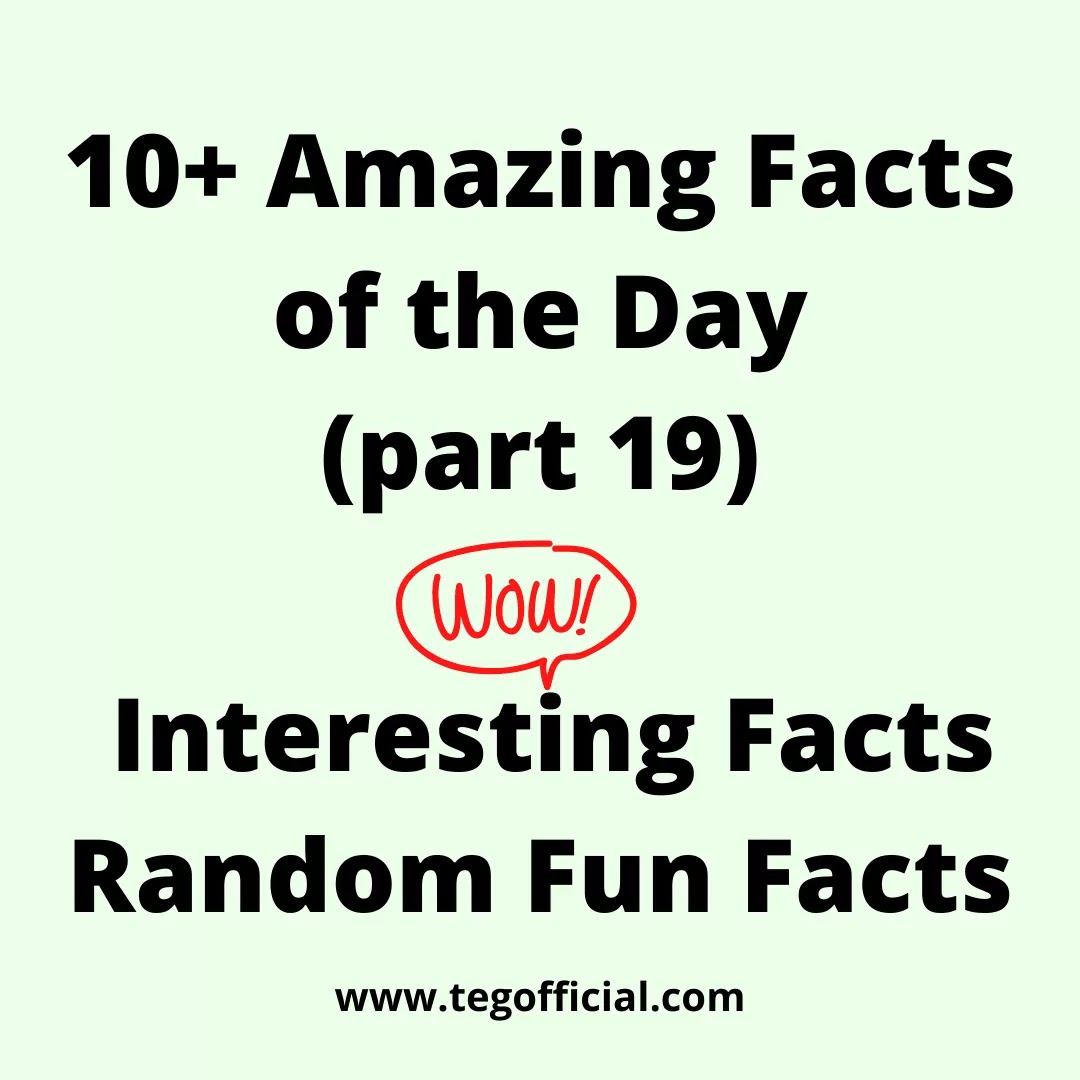 10+ Amazing Facts of the Day | Interesting Facts | Random Fun Facts(part 19)