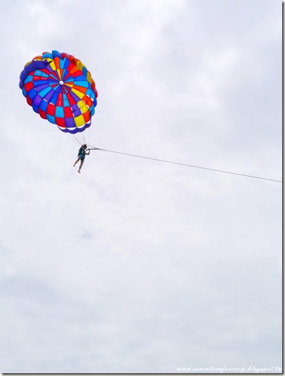 PhotoCap_009