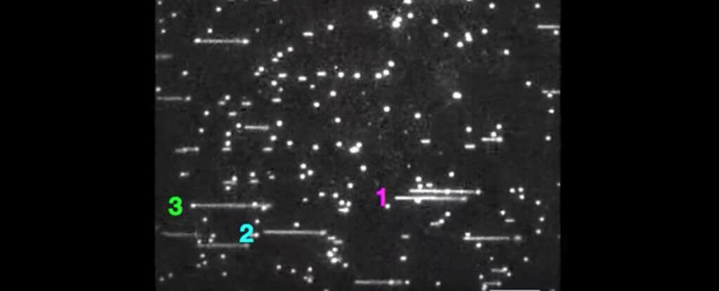 Researchers Filmed DNA Replication And It's Raising Questions