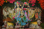 Sri Sri Krsna Balaram