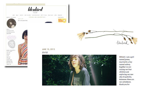 Bleubird Vintage blog