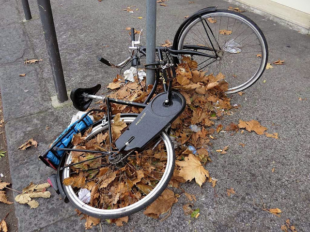 Bicycle lying on a bunch of dead leaves, via Gramsci, Livorno