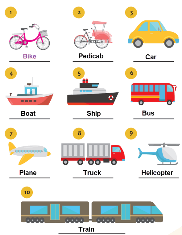 Transportatian