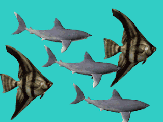Kumpulan Animasi Bergerak Ikan  Karton ANIMASI DAN GAMBAR  