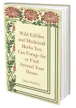 Home Doctor: Practical Medicine for Every Household: