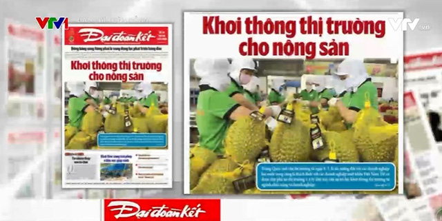 Xuất khẩu nông sản: Xây dựng thương hiệu thay <a href=