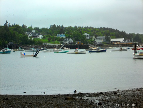 6. stormy sky-kab Bass harbor