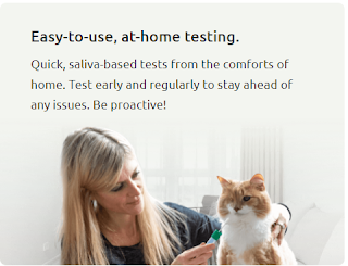 Image shows woman with long blonde hair holding a large orange and white cat and looking at it lovingly as if asking," What's wrong kitty?" Text reads: Easy-to-use, at-home testing. Quick, saliva-based tests from the comforts of home. Test early and regularly to stay ahead of any issues. Be proactive! Link opens in a new tab on the Basepaws website