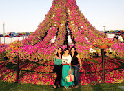 Miracle Garden Dubai (img )