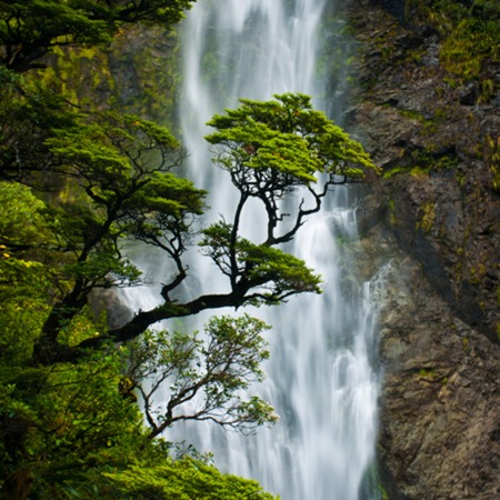 Bridal Veil Falls, New Zealand