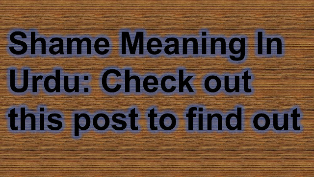shame meaning in urdu | Details, Fiction and urdu dictionary