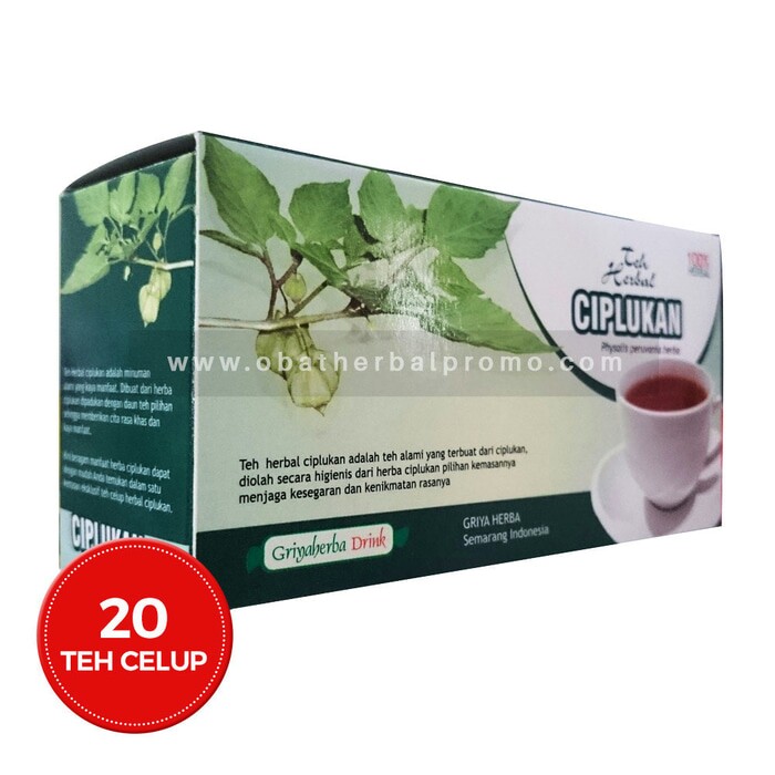 Jual Teh Ciplukan Celup Griya Herba di Surabaya - Alami ...