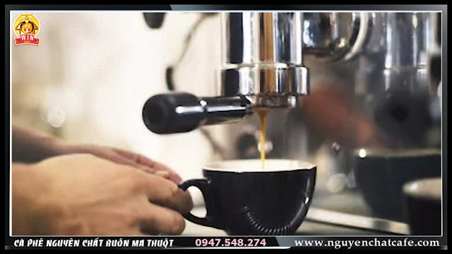 Cà phê hạt rang nguyên chất dành cho pha máy Espresso ở Buôn Ma Thuột