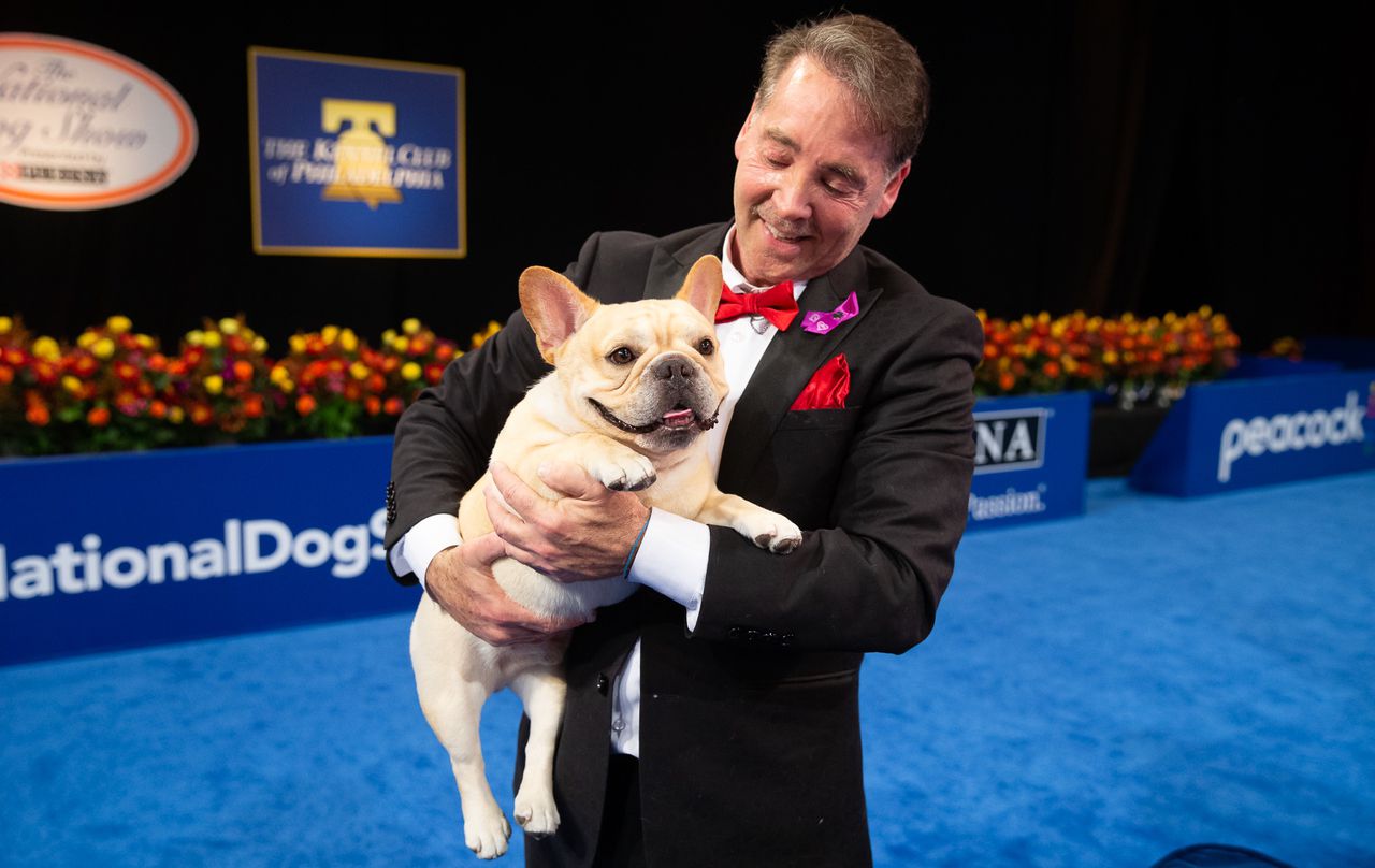 Best in Show Winner 2022: Winston the French Bulldog