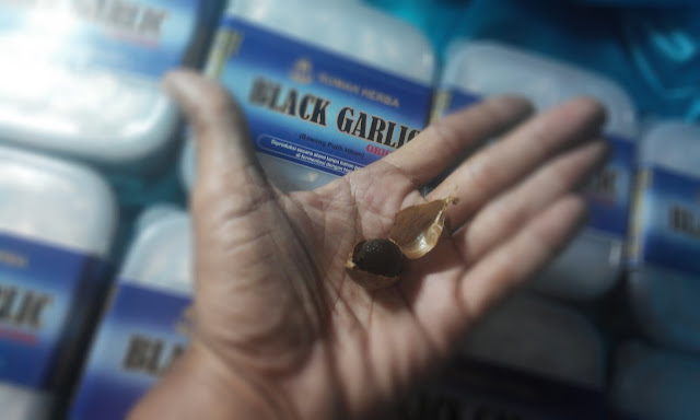 jual black garlic, surabaya black garlic, black garlic adalah, black garlic bandung ,black garlic bawang tunggal, black garlic dan manfaatnya, black garlic diabetes, black garlic harga, black garlic herbal ,black garlic indonesia ,black garlic jakarta ,black garlic jakarta ,review black garlic jogja, black garlic jual, black garlic khasiat ,black garlic lanang ,black garlic malang ,black garlic manfaat ,black garlic menu ,black garlic obat, black garlic online ,black garlic surabaya, black garlic tunggal ,jual black garlic, jual black garlic di surabaya ,jual black garlic jakarta, jual black garlic malang, jual black garlic murah