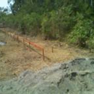 View album