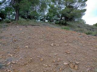 Yacimiento cuarzos La Jabalina, Ceheguín, Murcia