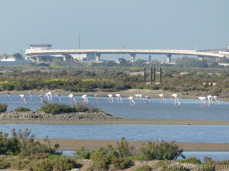 Cadiz-Salina Dolores - San Fernando - Salina Tres Amigos - Rio Arillo