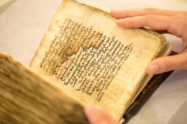 Medical text by ancient Greek doctor Galen uncovered beneath religious psalms on parchment